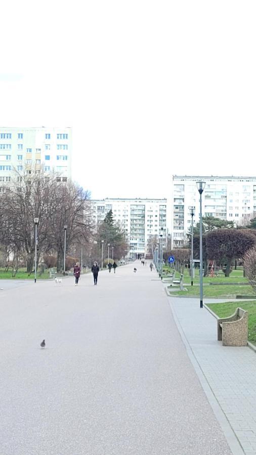 Apartament Zabcia - Przy Skm Zabianka Kolo Sopotu Gdansk Exterior foto